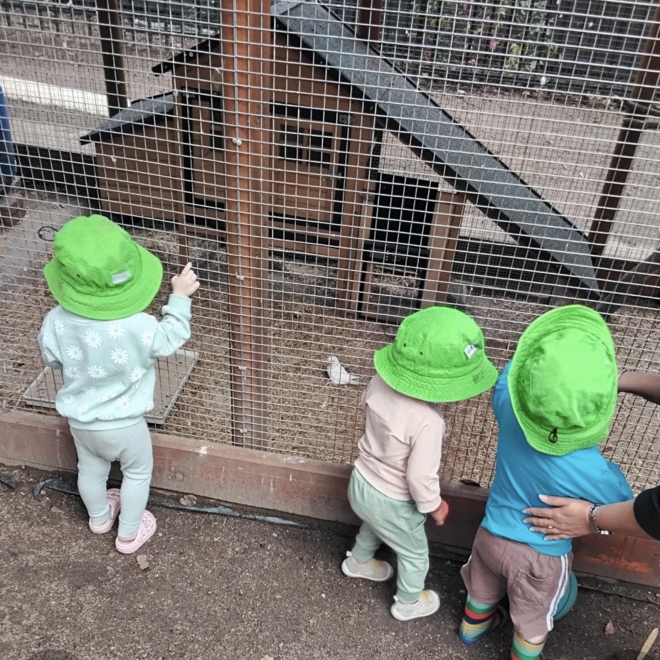 Animalplay2