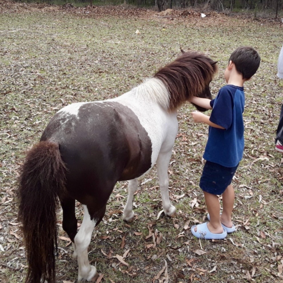 Pony4