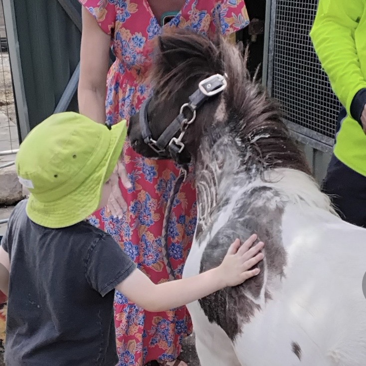 Animalplay5