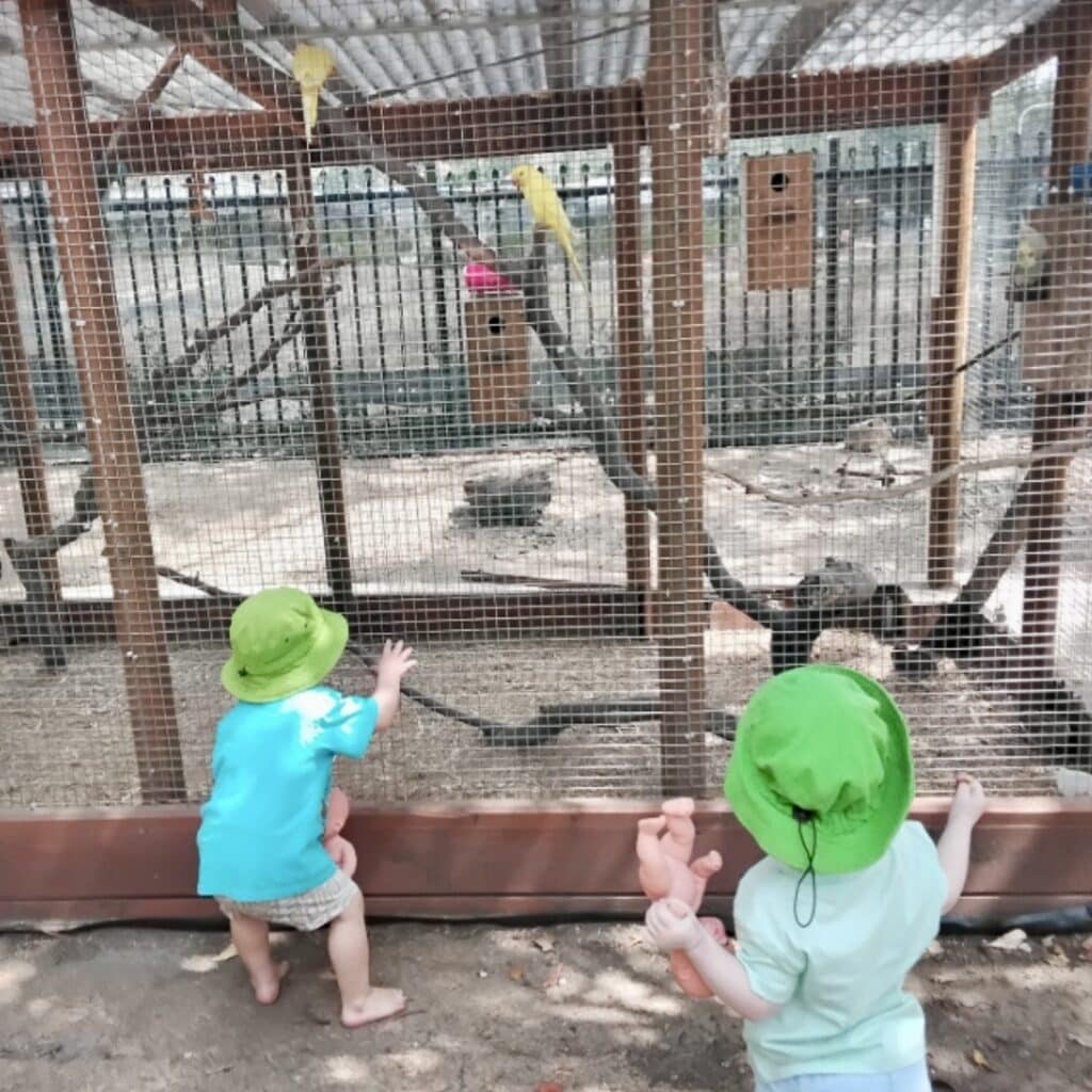 Animalplay1
