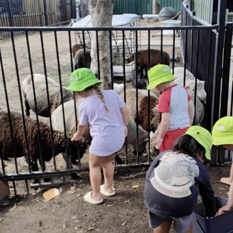 Lamb3