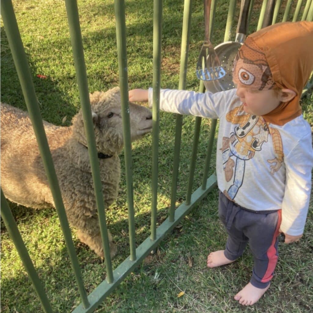 Animalplay3